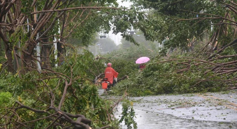 最新台风登陆城市，影响及应对策略