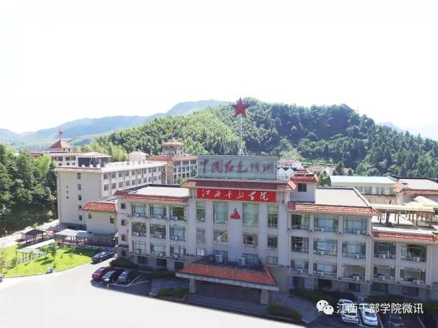 江西抚州最新刑事案详解，步骤指南与应对之策