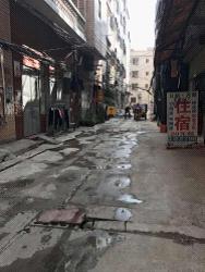 疫情最新动态与小巷深处的独特风味探索之旅