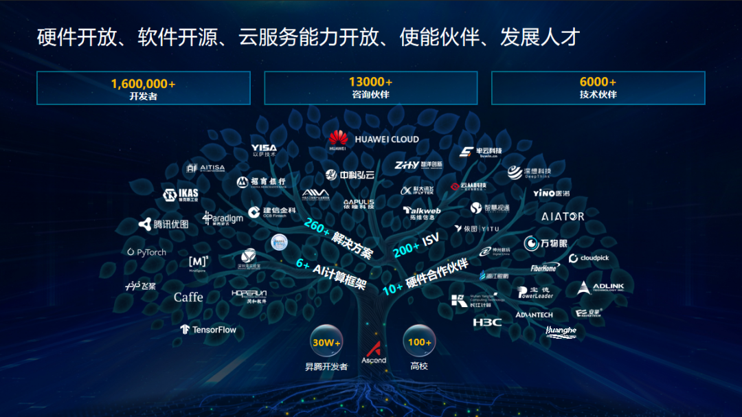 A新最新消息深度解析与多方观点探讨