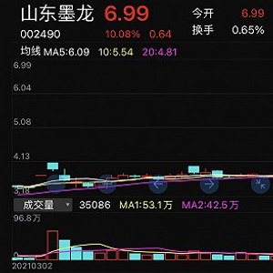 山东墨龙最新事件揭秘，透视争议背后的真相