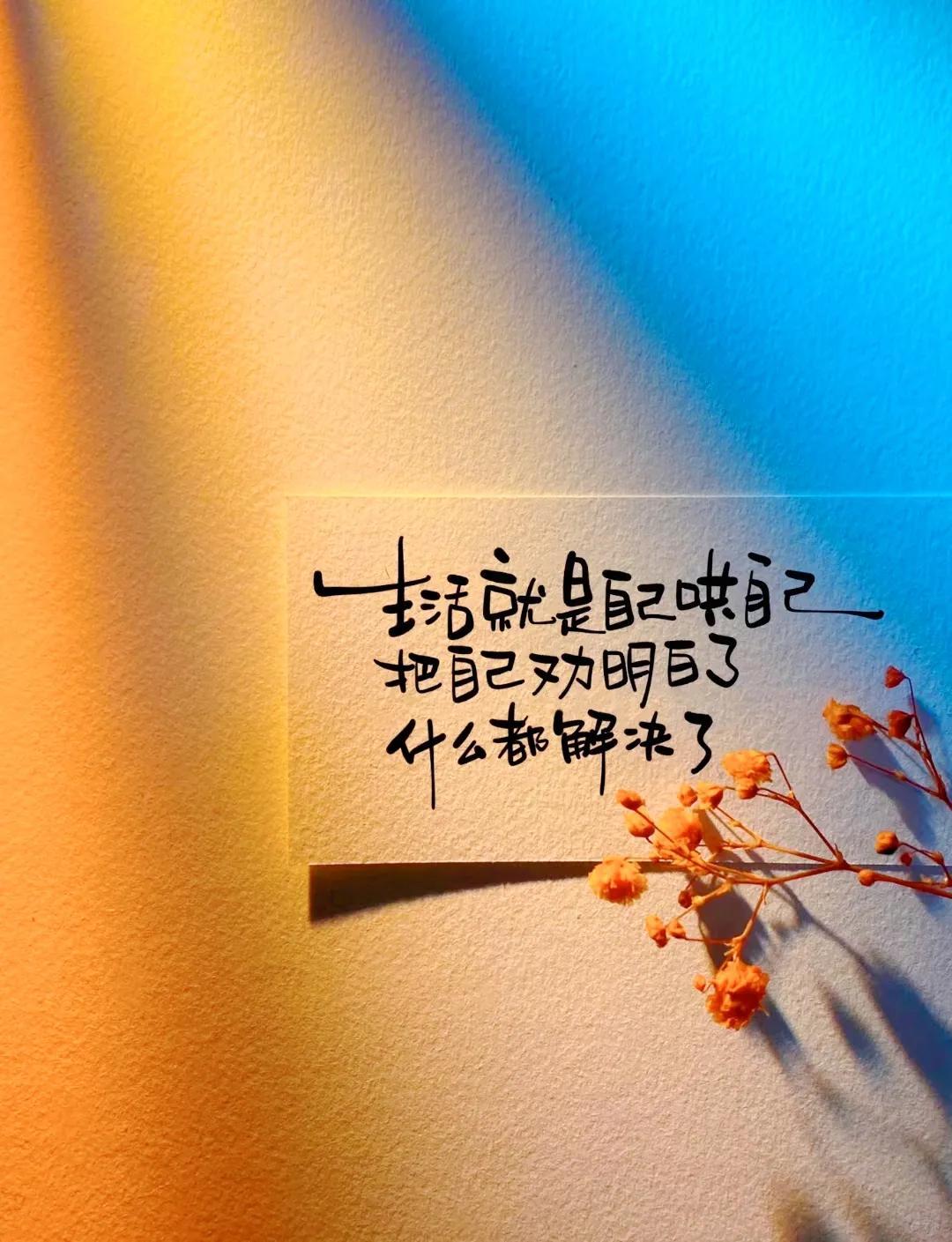 最新励志动画电影推荐，自信与成长的力量，励志之光的中文启示