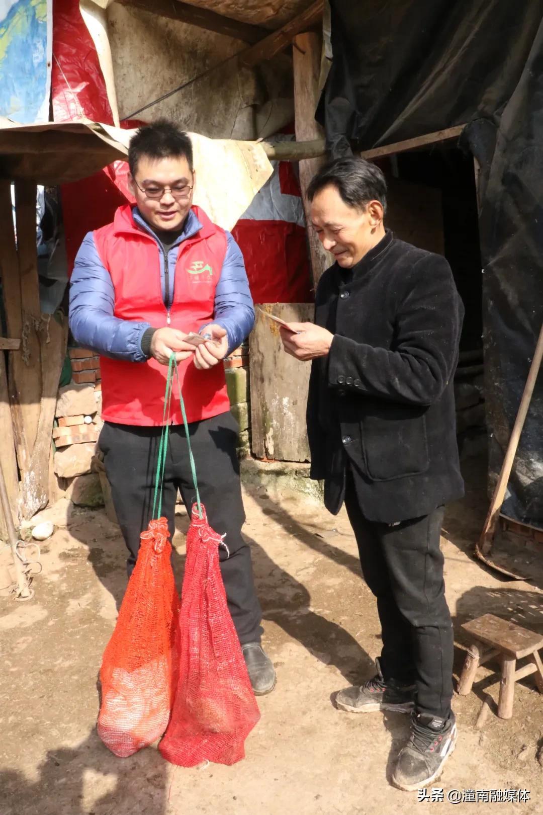 科技赋能下的生姜市场新纪元，最新生姜价格行情分析