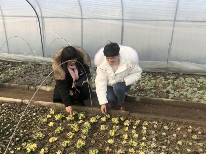 葡萄疫情最新消息,葡萄疫情最新消息全面解读，你关心的都在这里！