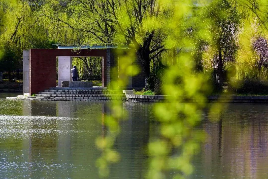 最新疫情防控知识中心，自然美景下的疫情防控探索之旅