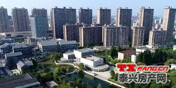 泰兴凤凰和泰最新价格，市场走势与多方观点深度解析