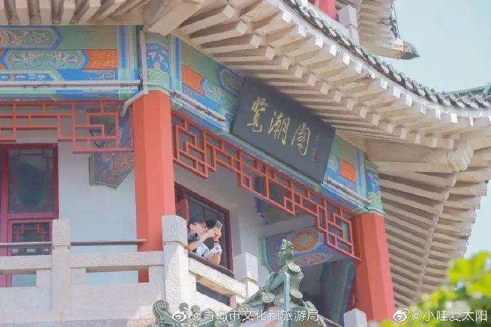 青岛最新疫情动态，新增病例及小巷中的隐藏宝藏