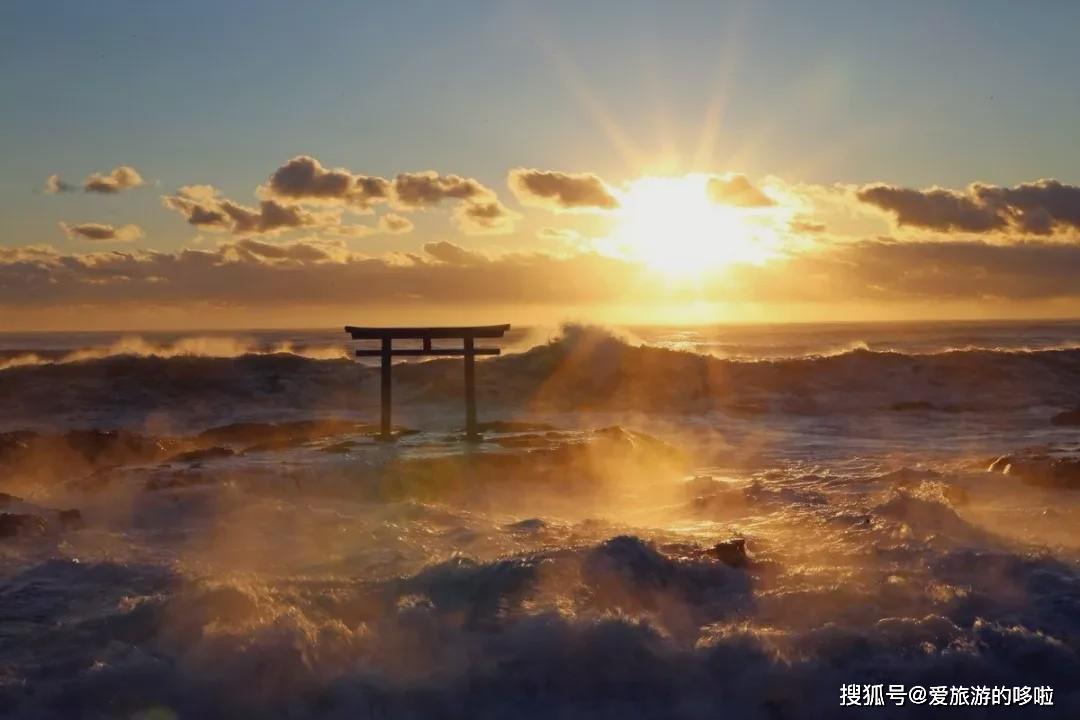 日本东京最新确诊人数，自然美景中的心灵之旅，探寻内心平静之道