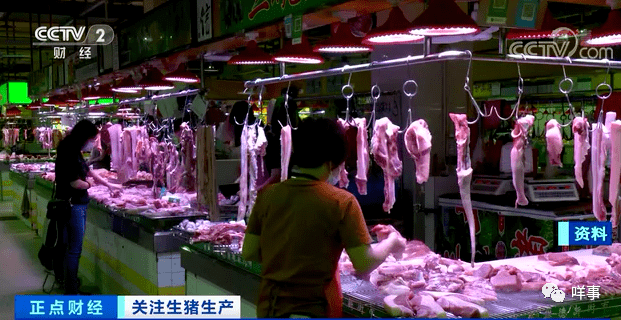 中国大豆期货最新行情，时代波澜与市场的时代脉动