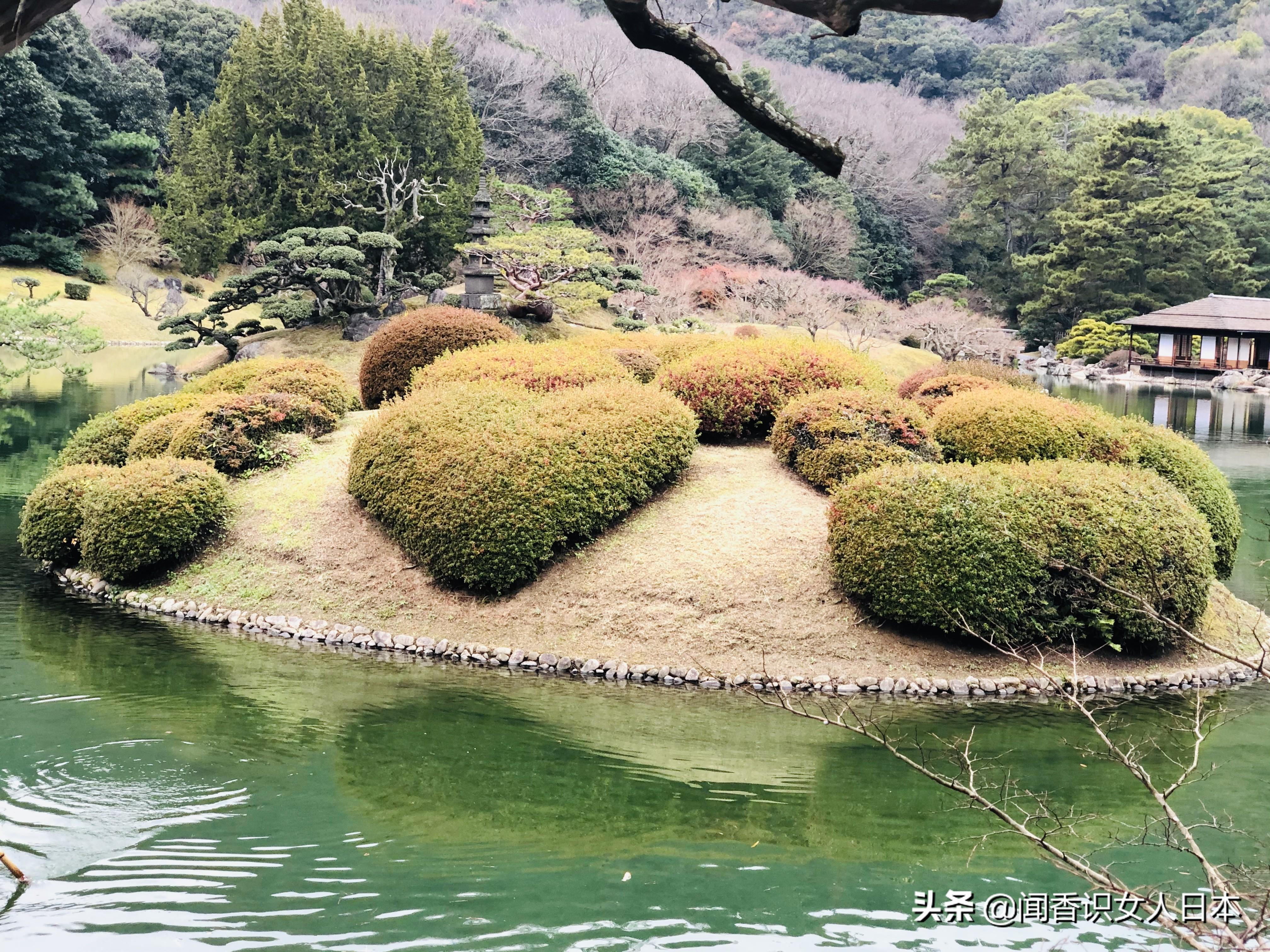 三星电子最新动态与探寻自然美景之旅，内心的宁静之旅