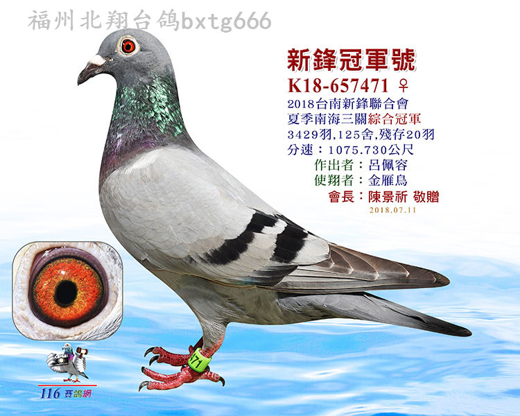 第1301页