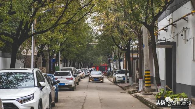 巴市双河区巷弄深处的惊喜小店，最新进展探秘