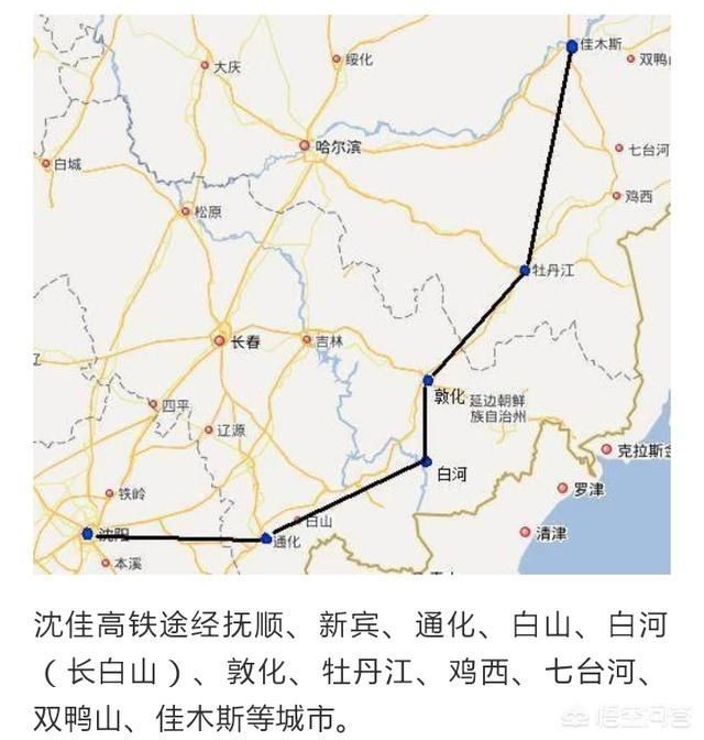 第1196页