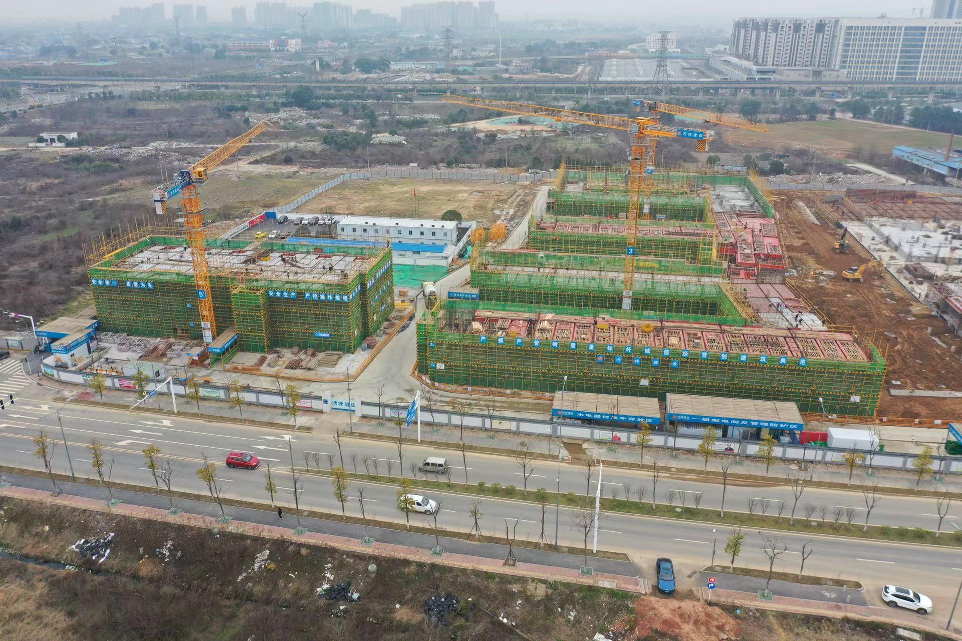长沙十月出入最新规定全面解读，无忧旅程规划指南