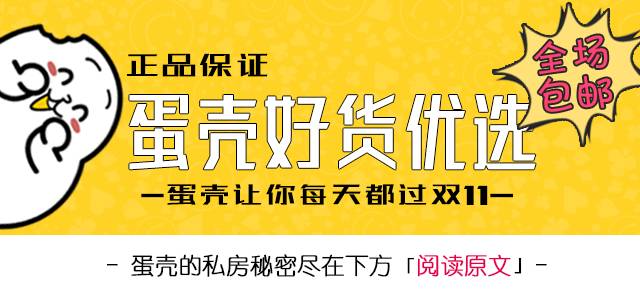 成都蛋壳公司最新动态，日常趣事与情感纽带的展现