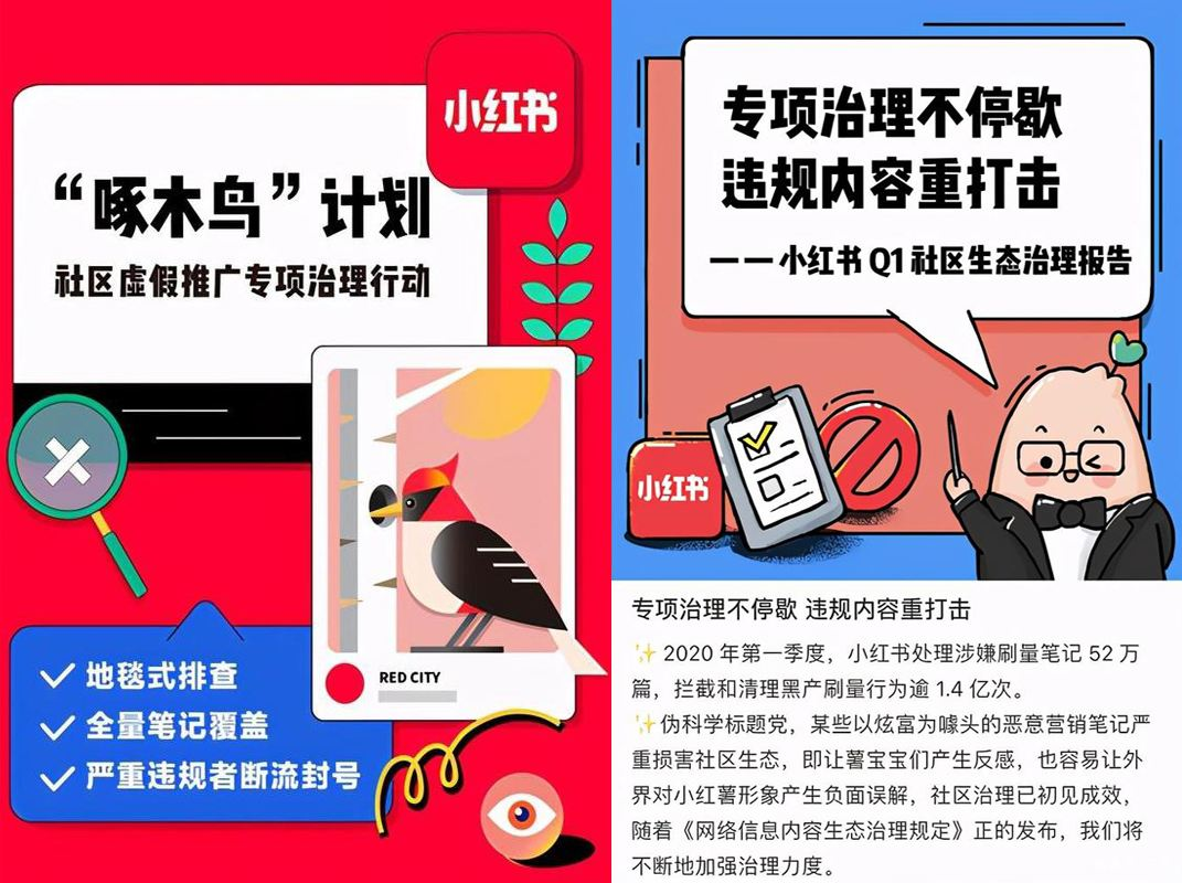 揭秘小红书推荐的最新网赚计划，轻松实现财富自由！