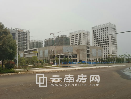 奥宸中央广场最新动态揭秘，小巷特色小店的独特魅力探索