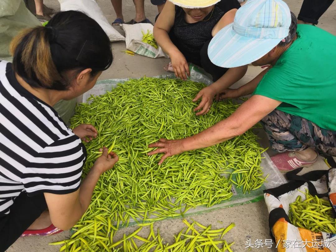 绛县人大主任探寻自然奥秘，心灵之旅寻求宁静与平和
