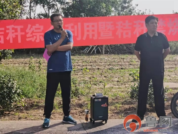 莱芜市环保最新动态，实践环保，从我做起行动展开