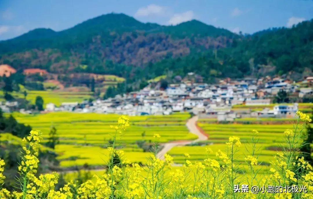 岳阳平江伍市最新招聘，职业发展的理想选择